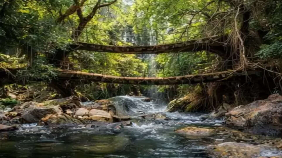 Exploring Meghalaya: India&rsquo;s Hidden Adventure Paradise